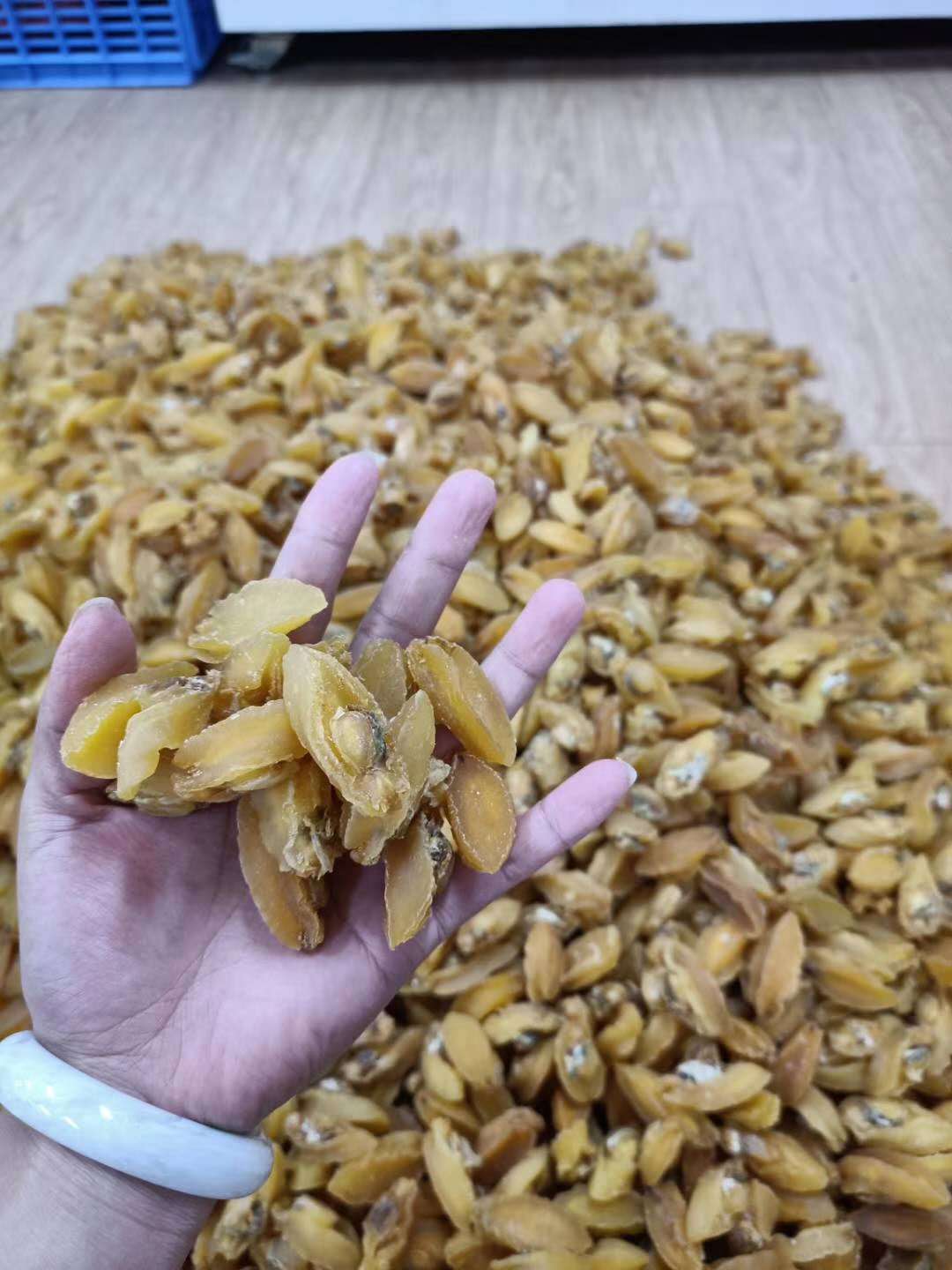 昌升新鮮金絲鮑魚 營養(yǎng)豐富的海味干貨批發(fā)優(yōu)選