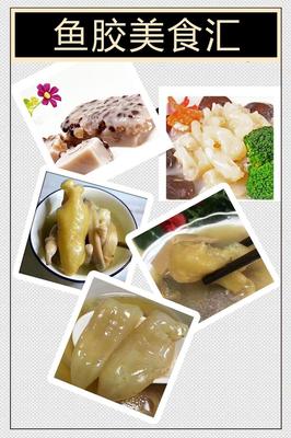 非洲野生開邊黃花膠 產(chǎn)地直銷，品質(zhì)保證