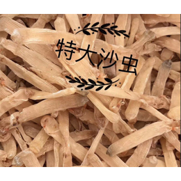 湛江海味干貨批發(fā) 口碑與折扣并存的優(yōu)質(zhì)之選