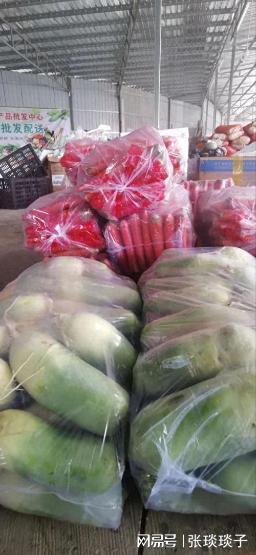 一份厚禮 南充嘉陵頭洞橋農(nóng)產(chǎn)品批發(fā)中心國慶試營業(yè)，開啟海味干貨批發(fā)新篇章