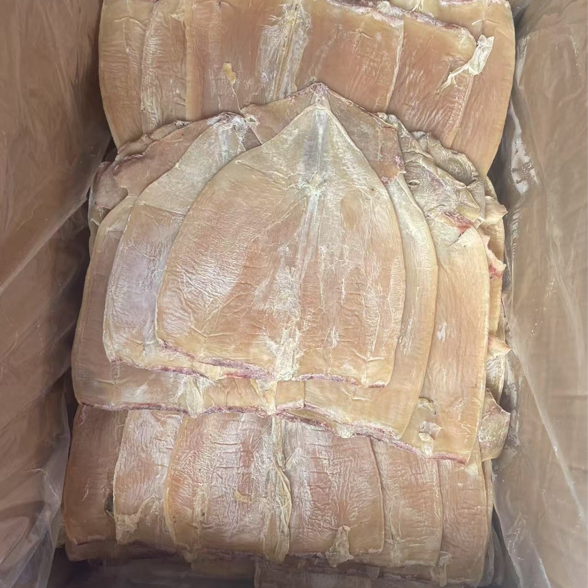 阿根廷無頭魷魚干 優質海味干貨批發指南