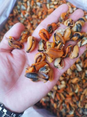 廣東廣州荔灣區貽貝批發 優質淡菜干，25.00元/斤實惠海味