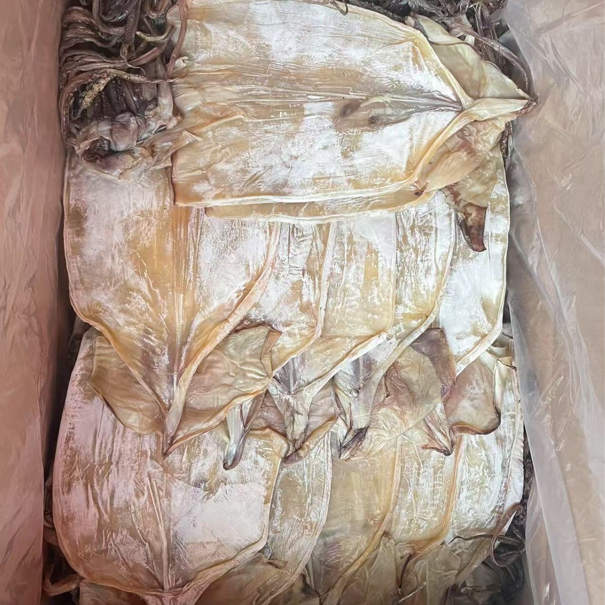 干貨批發市場的明珠 魷魚干的商業價值與批發策略