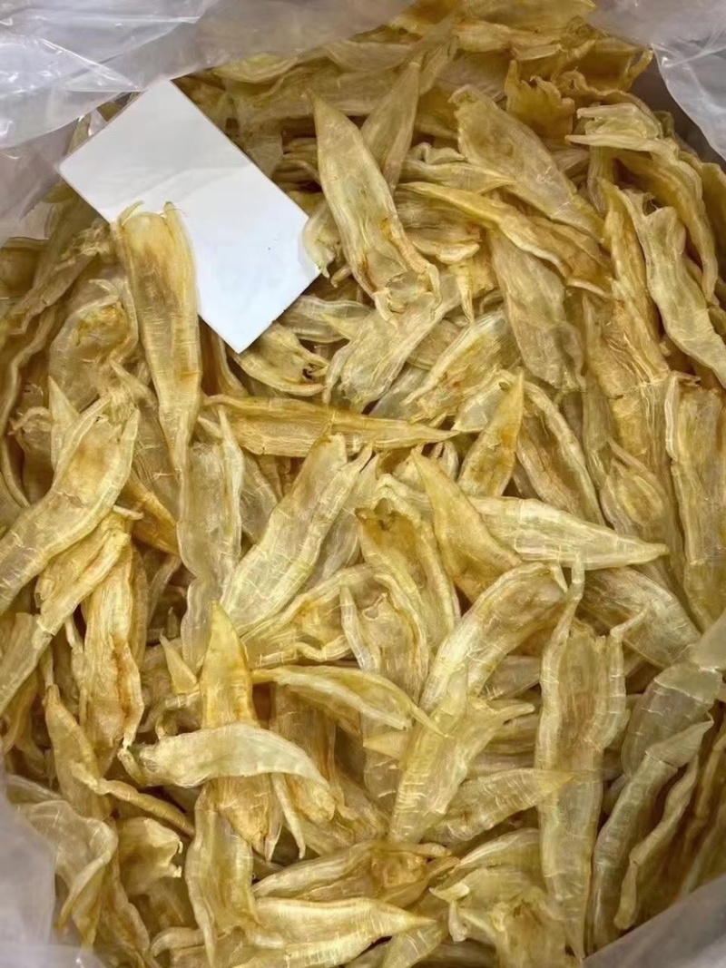 海味干貨批發(fā)指南 雙背膠清水貨魚膠、花膠金龍膠與北海赤鳘魚膠的甄選之道