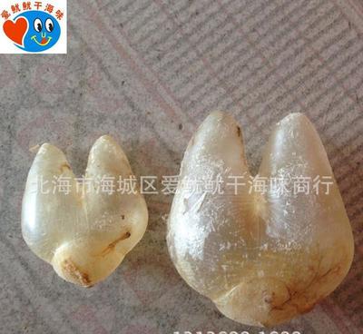 珍品薈萃，健康之源——探索巴巴批發(fā)綠色保健系列海味干貨